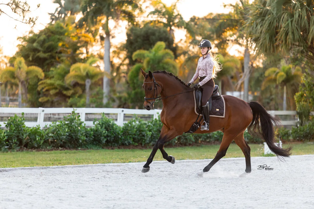 Laura Ashley Dressage education